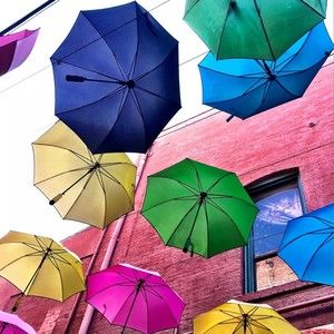 Meet your Posher, Rogers